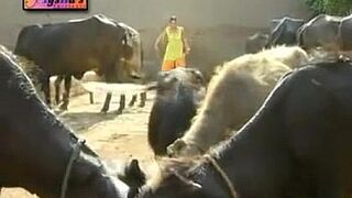 NADIA ALI HOT MUJRA GUJJRA WAY.flv